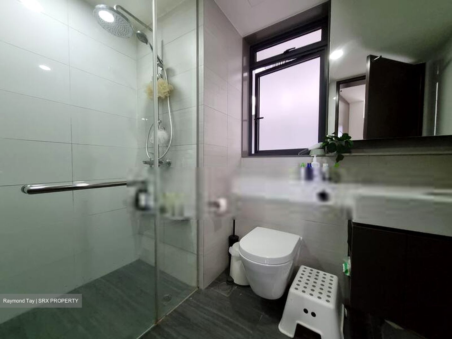 Botanique At Bartley (D19), Condominium #573373391